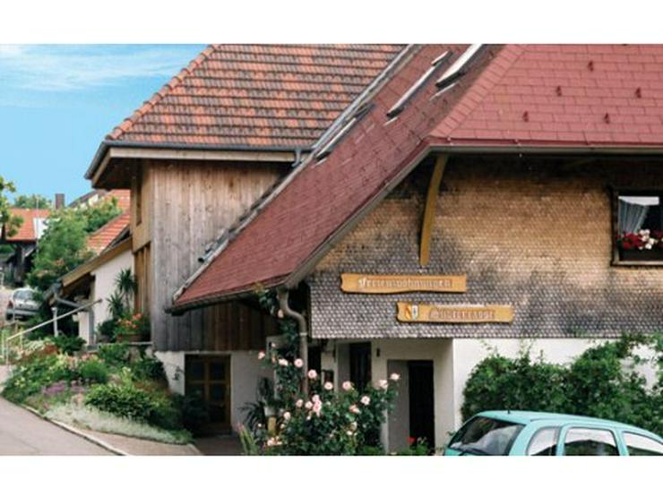 Ferienwohnung Südterrasse, Wandern, Schwarzwald - Baden-Württemberg - Bild 1