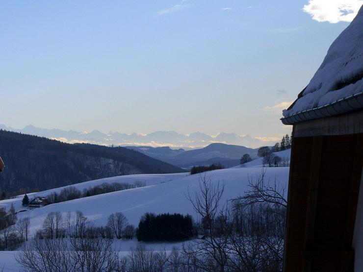 Bild 5: Ferienwohnung Südterrasse, Wandern, Schwarzwald