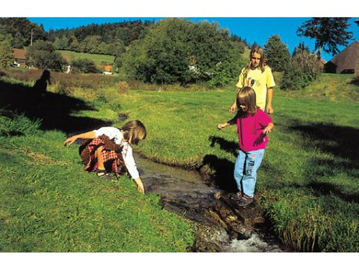 Bild 4: Ferienwohnung Südterrasse, Wandern, Schwarzwald