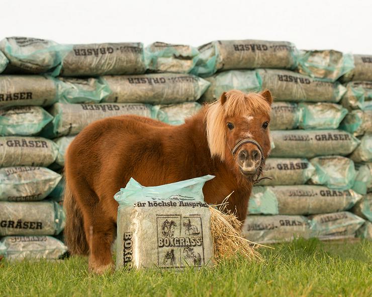 BOXGRASS Heulage für Pferde Silage Heu - Futter - Bild 1