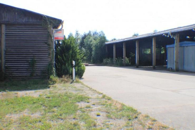 Bild 11: Wir haben Gewerbefläche u. Lagerhallen 
Werkstatt exorbitante Freifläche
Solarpark geeig...