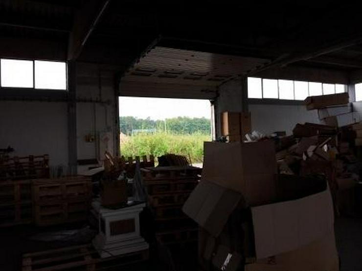 Bild 3: Saubere, trockene Lagerhalle im Gewerbegebiet.