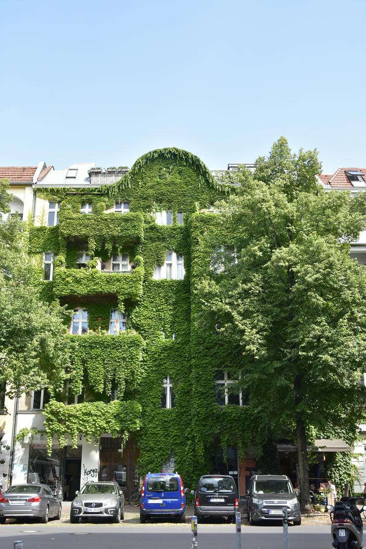 Bild 3: Führung Berlin Neukölln Reuterkiez H. Steinle