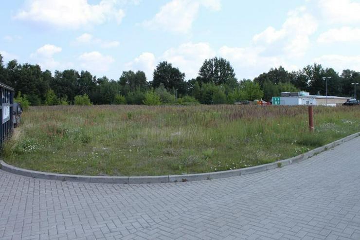 Bild 4: Grundstück 5500m² am Gewerbepark und Zwei weitere
und Büros
