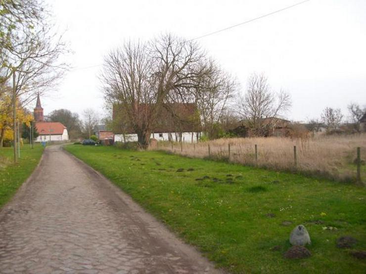 Bild 2: Baugrundstück mit Bauernhausruine