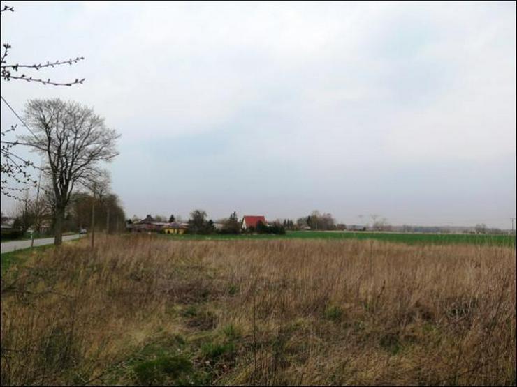 Bild 9: Attraktives Grundstück Nahe Greifswald