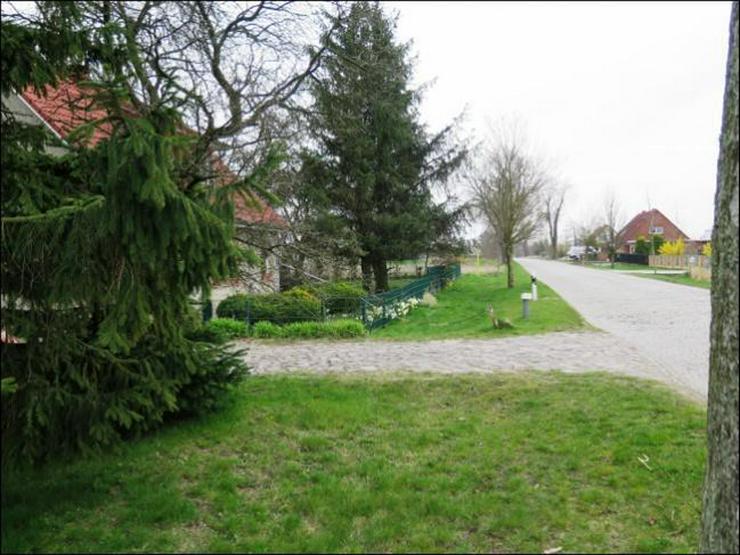 Bild 7: Attraktives Grundstück Nahe Greifswald