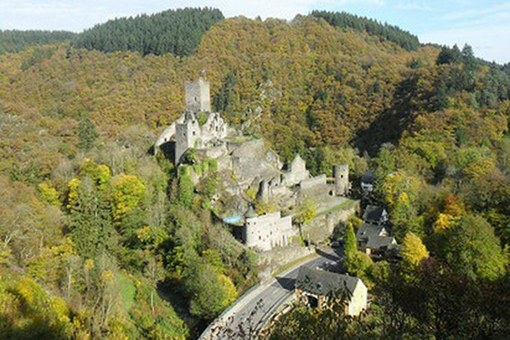 Bild 15: 2 Eifel-Mosel Fewo nähe Maare/See, Burgen