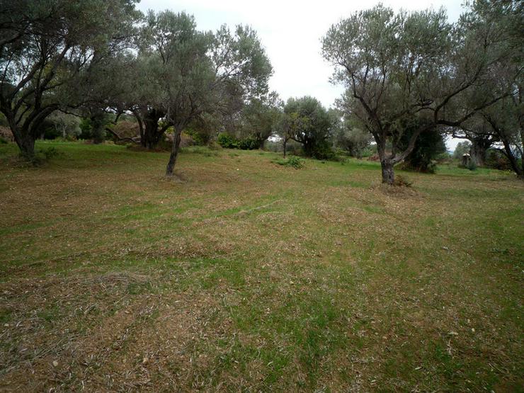 Bild 8: A plot with sea view on the isl. Evia