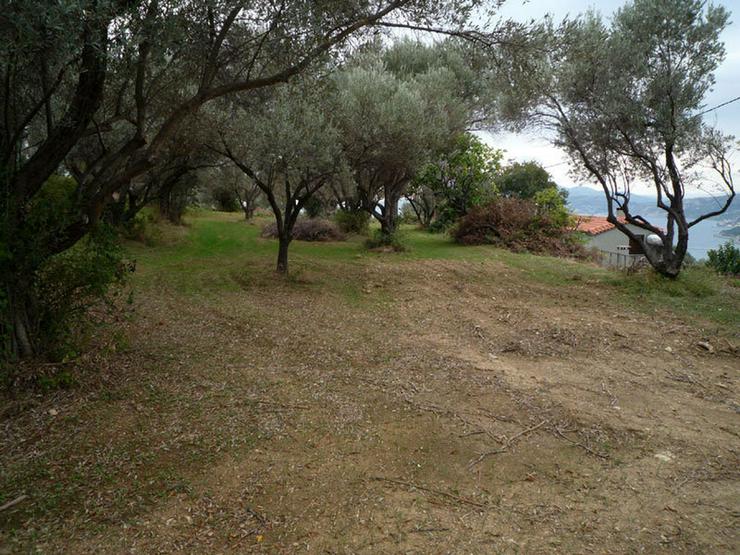 Bild 7: A plot with sea view on the isl. Evia