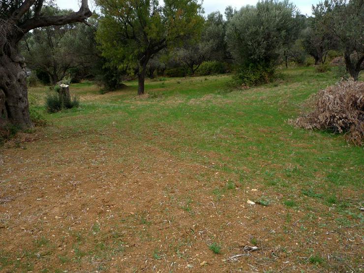 A plot with sea view on the isl. Evia