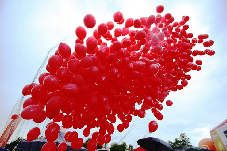 Bild 5: Luftballons helium ballongs Ballon-Dekorationen