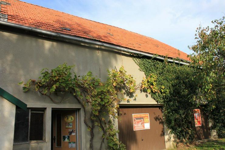 Bauernhaus im Elefantendorf Platschkow - ländliche Idylle - Haus kaufen - Bild 3
