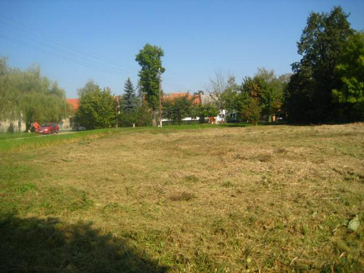 Grundstück in Wilczkow bei Breslau zu verkaufen - Grundstück kaufen - Bild 3