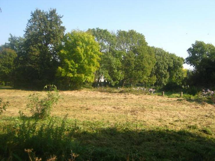Grundstück in Wilczkow bei Breslau zu verkaufen
