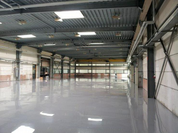 TOP renovierte Industriehallen mit Büros - Gewerbeimmobilie mieten - Bild 1