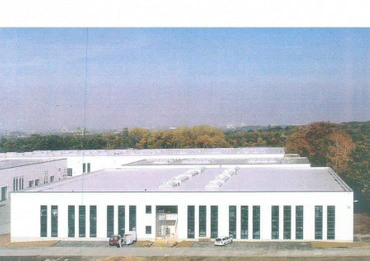 Bild 3: Hallenflächen, Neubau in Autobahnnähe, Industriegebiet
