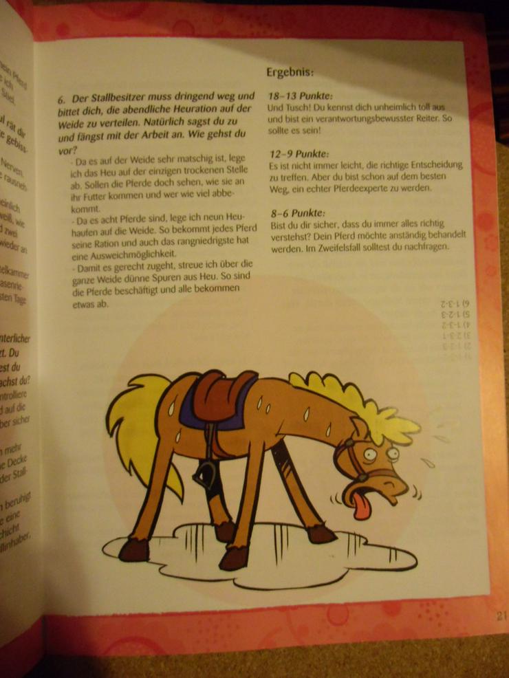 Bild 3: Bist du ein echter Pferdekenner?