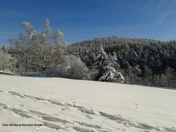 Schneeschuh Wanderung Seehaus Nußhardt Fichtelgebirge 03.01.25