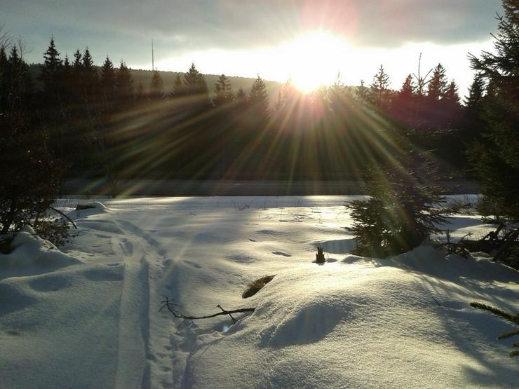 Bild 3: Schneeschuh Wanderung Seehaus Nußhardt Fichtelgebirge 03.01.25