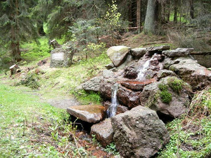Großes Grundstück mit eigener Wasserquelle - Grundstück kaufen - Bild 1