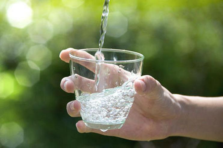 Bild 2: Großes Grundstück mit eigener Wasserquelle