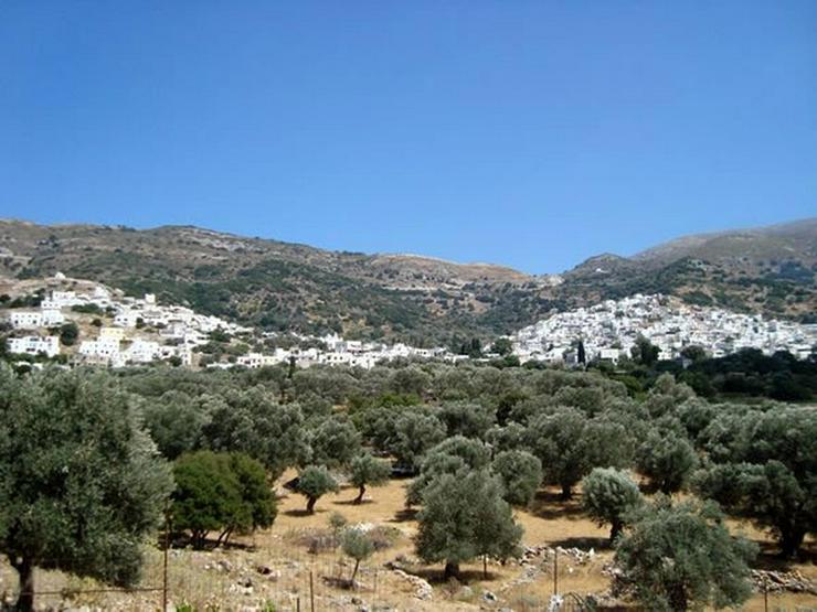 Altes sanierungsbedürftiges Steinhaus auf Naxos - Haus kaufen - Bild 6