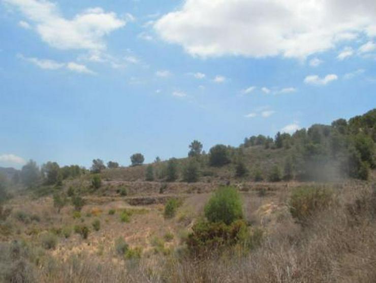 Bild 3: Grundstück mit schönem Ausblick bei Tibi
