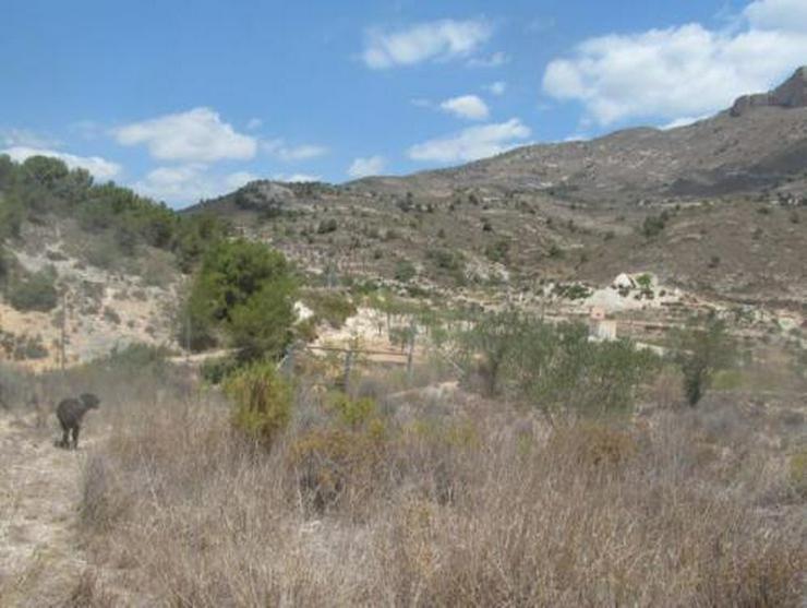 Grundstück mit schönem Ausblick bei Tibi - Auslandsimmobilien - Bild 6