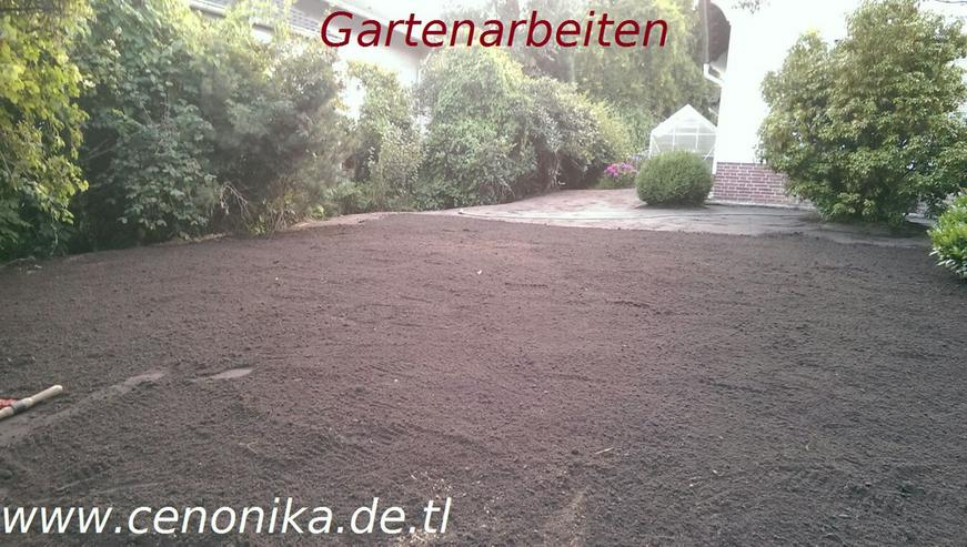 Bild 6: Rasen mähen Unkraut zupfen Gartenarbeiten