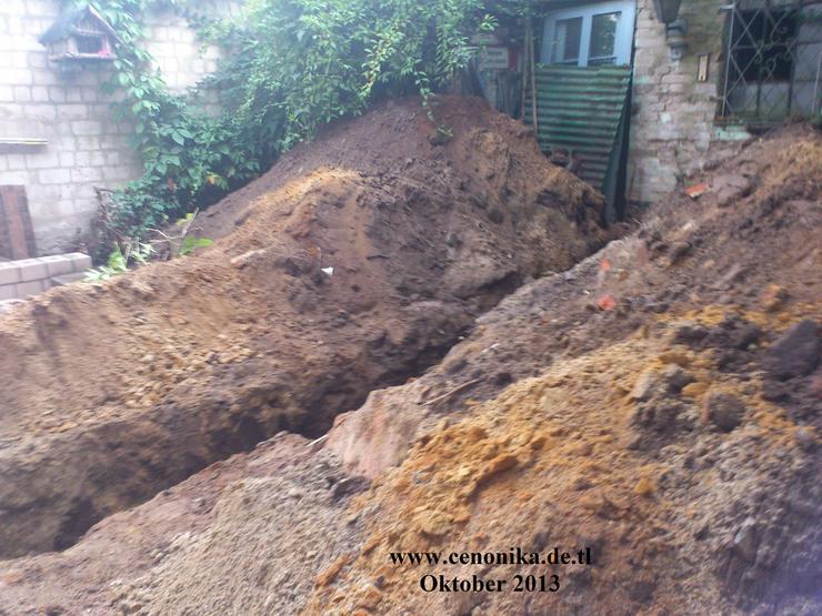 Bild 4: Rasen mähen Unkraut zupfen Gartenarbeiten