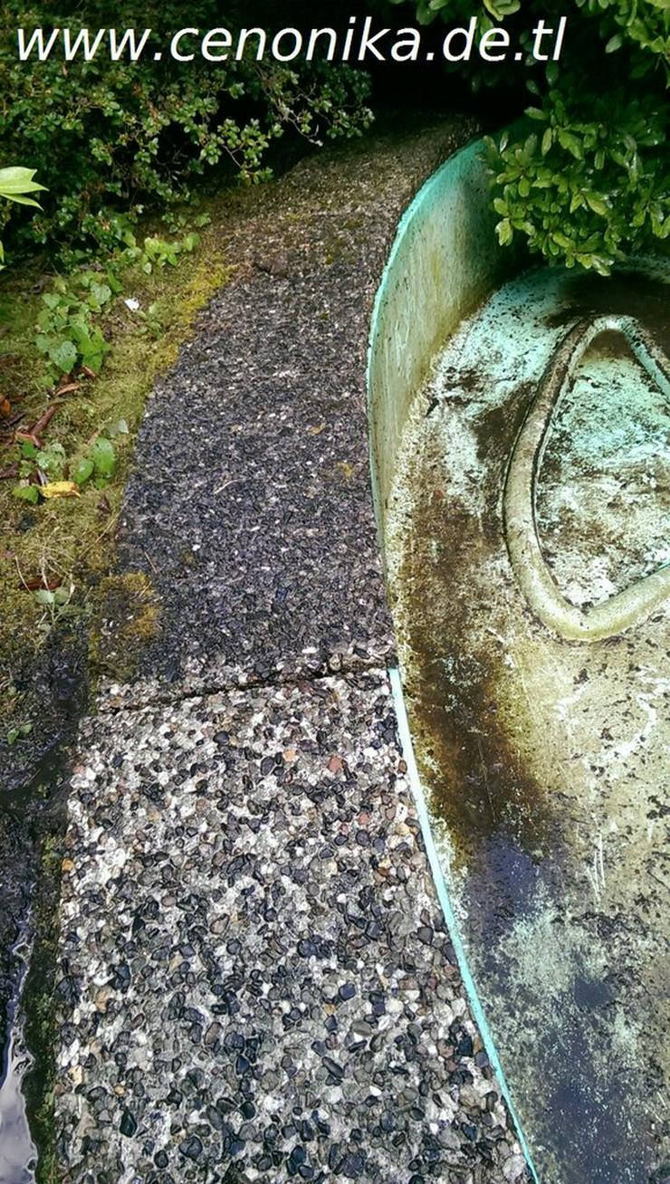 Rasen mähen Unkraut zupfen Gartenarbeiten - Reparaturen & Handwerker - Bild 7