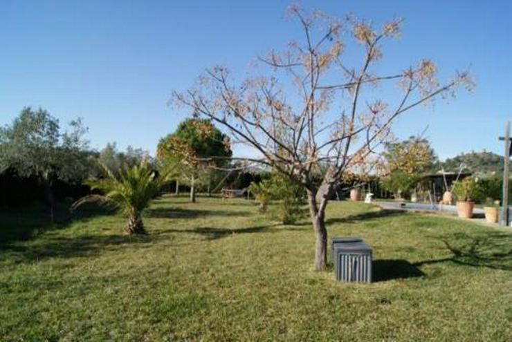 Bild 4: Großzügige Finca in Jesus Pobre bei Denia