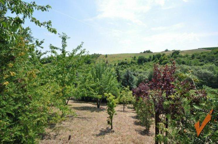 Bild 7: PUR Natur! Rechts der Golfclub Nahetal, links der Blick zur Ebernburg!