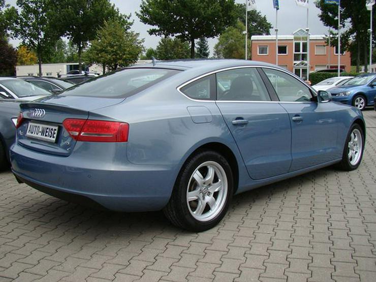 Bild 13: AUDI A5 2.0 TDI Sportback Aut. ACC Navi+ Xenon PDC