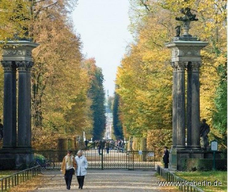 Bild 8: Leben im Grünen +++ kernsanierte 3-Zimmer-Garten-Maisonnettewohnung in Potsdam