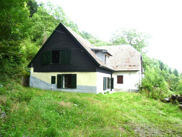 Bild 2: Elsass: Doppelhaus in Allein-l und Südhanglage mit insgesamt ca. 240 m² Wohnfläche + ca...