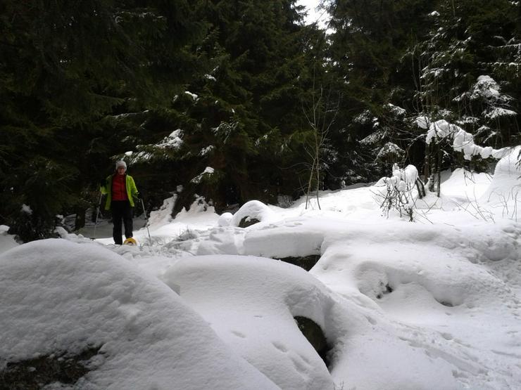 Bild 3: Schneeschuh-Tour im schönen Fichtelgebirge Oberfranken 03.+06.01. + 09.+22.02.25