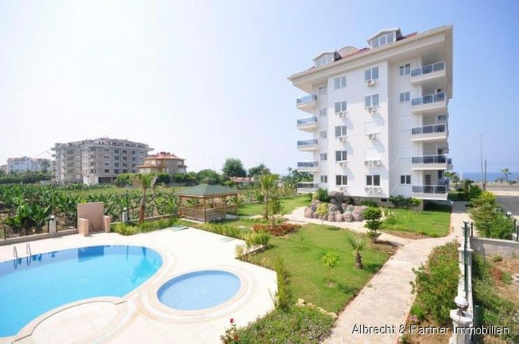 Bild 4: 4 Zimmer - Wohnung direkt am Strand von Kestel - Alanya