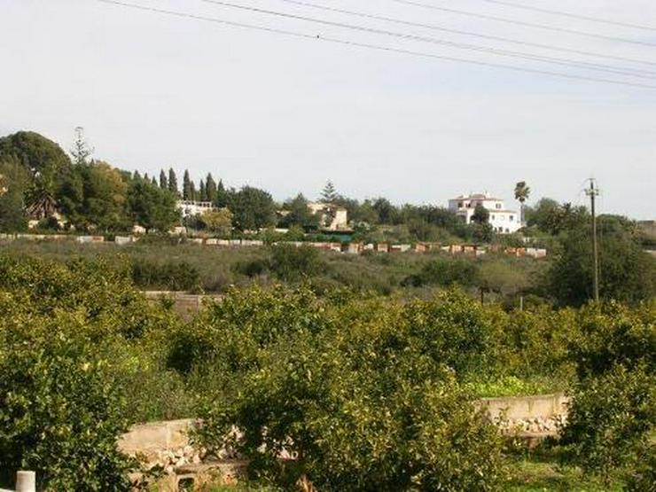 Grundstück mit Ruine in ruhiger Lage - Auslandsimmobilien - Bild 3