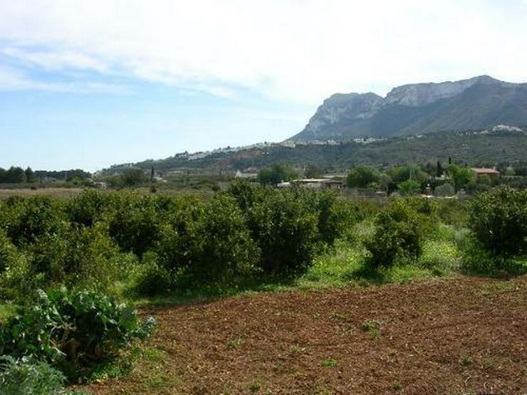 Bild 1: Grundstück am Rande der Ortschaft Beniarbeig