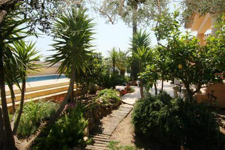 Wunderschönes, strandnahes Villen-Anwesen mit kleiner Orangenplantage in Deveses - Auslandsimmobilien - Bild 6