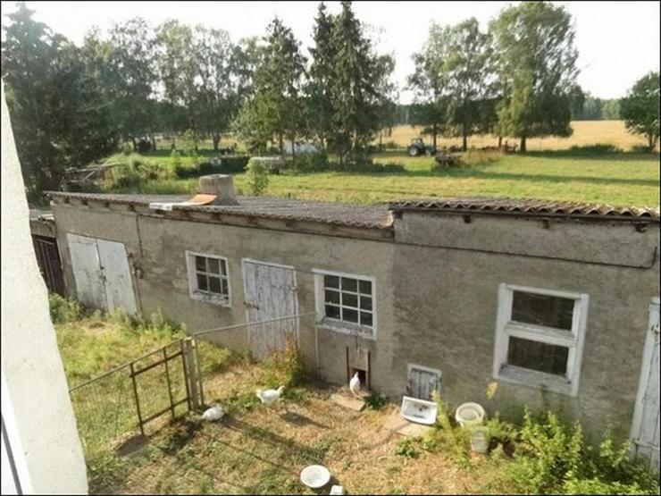 Einfamilienhaus und großer Hof in Krienke auf Usedom - bereit für neuen Eigentümer! - Haus kaufen - Bild 10