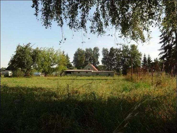 Einfamilienhaus und großer Hof in Krienke auf Usedom - bereit für neuen Eigentümer! - Haus kaufen - Bild 8