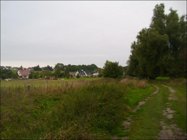 Bild 8: Einfamilienhaus im Günen mit Peeneblick