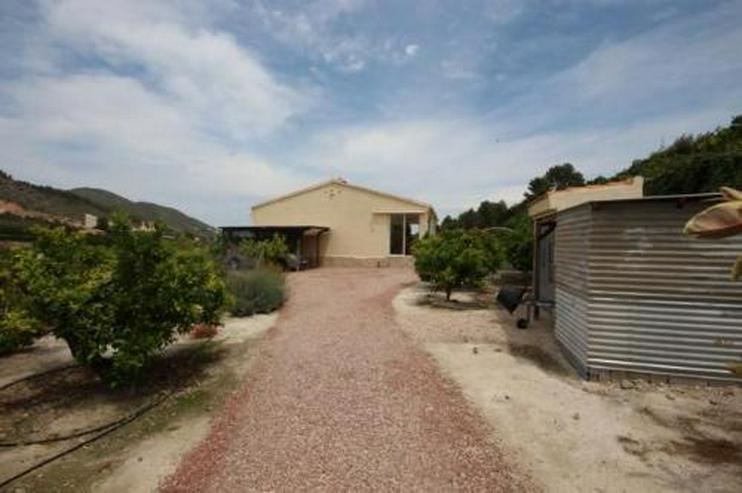 Bild 14: Neuwertige Landhaus-Villa mit Pool in idyllischer Alleinlage zwischen Orangenplantagen