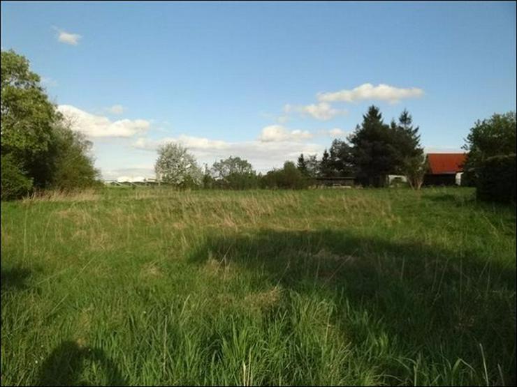 Bild 6: 1500 m² Baugrundstück in Kruckow, schöne ruhige Lage im Dorf