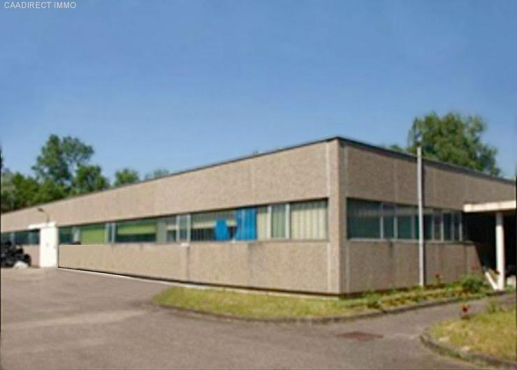 Gewerbe Halle 245 m² in Rosenau Elsass - 10 Min von Basel und Weil - Gewerbeimmobilie kaufen - Bild 5
