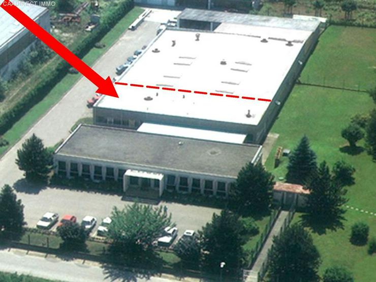 Gewerbe Halle 245 m² in Rosenau Elsass - 10 Min von Basel und Weil
