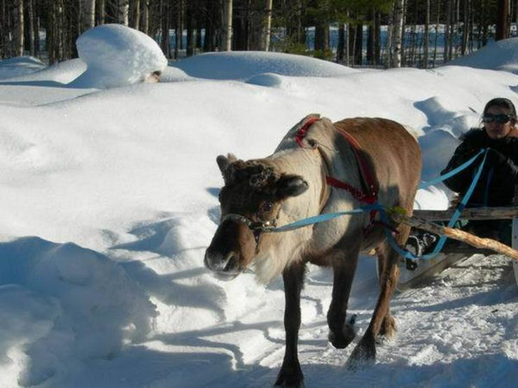 Ferienhaus  in Lappland/Schweden - Schweden - Bild 11